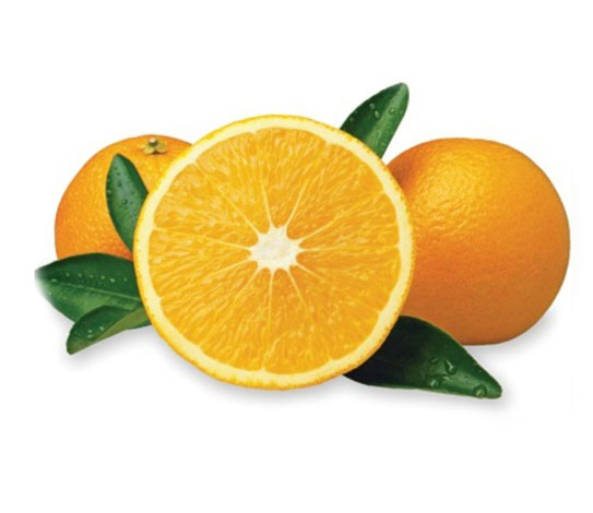 نهال پرتقال هاملین